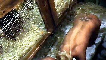 Amateur big, big boobs hardcore pov, horror porno, amateur hd, amateur